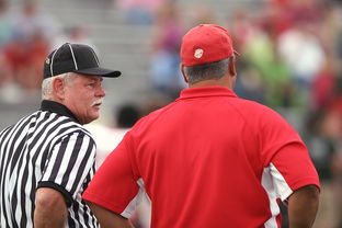 米兰体育网-意甲裁判语义分析辅助判罚准确性的应用探讨，意甲裁判名单